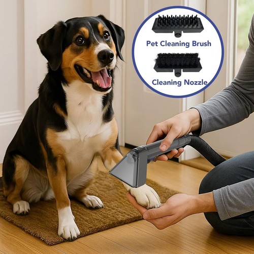 Portable carpet upholstery - carpet,